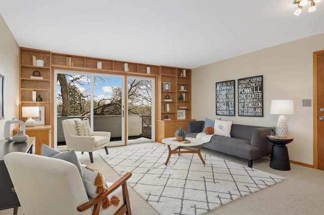 1261 Cleveland Ave N Unit 8A, Saint Paul, MN 55108 - living area featuring built in features, baseboards, and light colored carpet