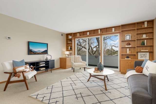 1261 Cleveland Ave N Unit 8A, Saint Paul, MN 55108 - living room featuring built in features, baseboards, visible vents, and light colored carpet