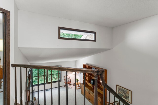 8875 Basswood Rd, Eden Prairie, MN 55344 - photo 34