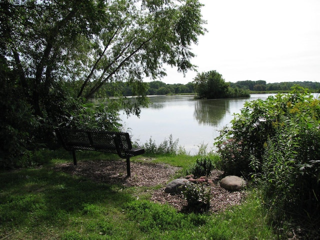 8875 Basswood Rd, Eden Prairie, MN 55344 - photo 59