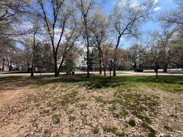 14289 Memorywood Dr, Baxter, MN 56425 - view of yard