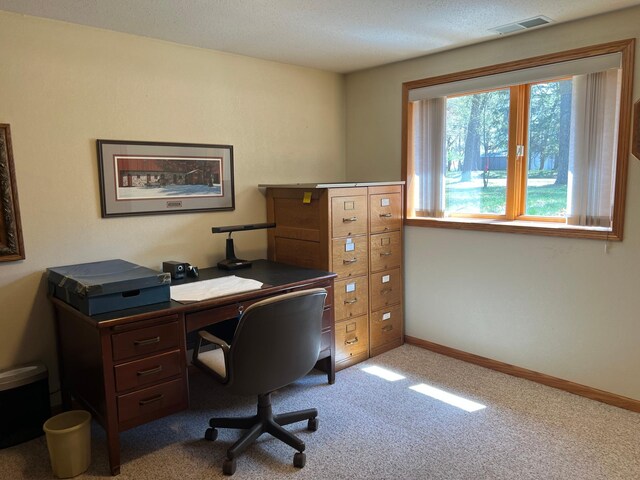 14289 Memorywood Dr, Baxter, MN 56425 - office space featuring carpet floors and baseboards