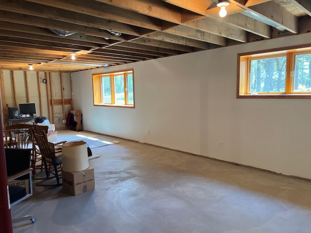 14289 Memorywood Dr, Baxter, MN 56425 - basement with an office area