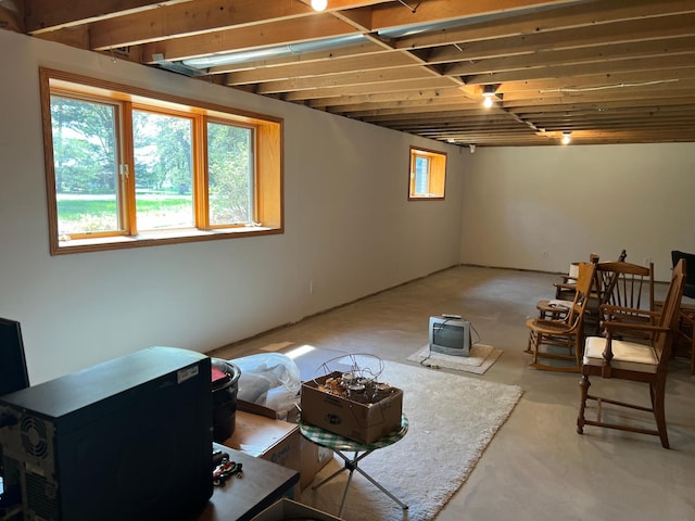 14289 Memorywood Dr, Baxter, MN 56425 - view of below grade area