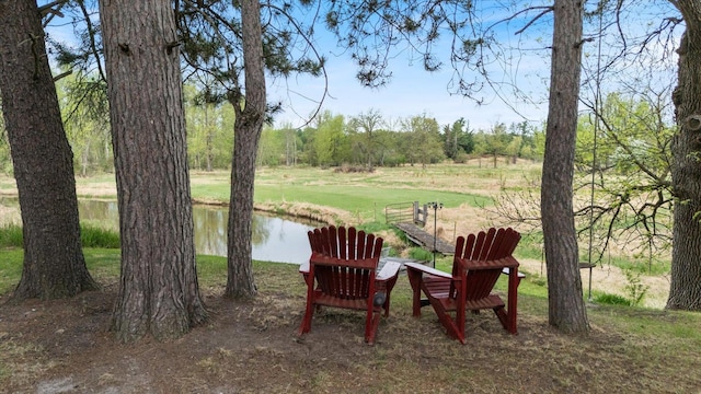 24083 Trout Lake Rd, Trout Lake Twp, MN 55709 - photo 5