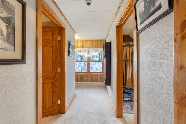 24083 Trout Lake Rd, Trout Lake Twp, MN 55709 - photo 16