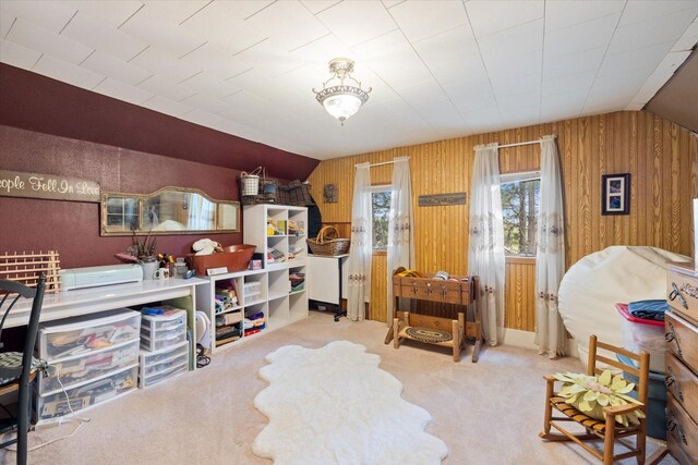 24083 Trout Lake Rd, Trout Lake Twp, MN 55709 - photo 17