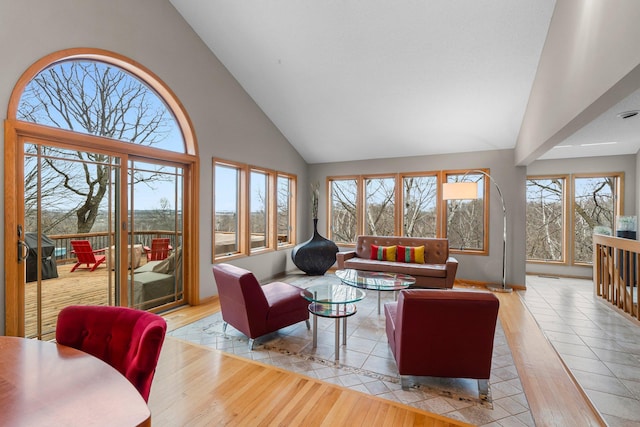 8440 Delaney Ct, Inver Grove Heights, MN 55076 - living room featuring high vaulted ceiling and wood-type flooring