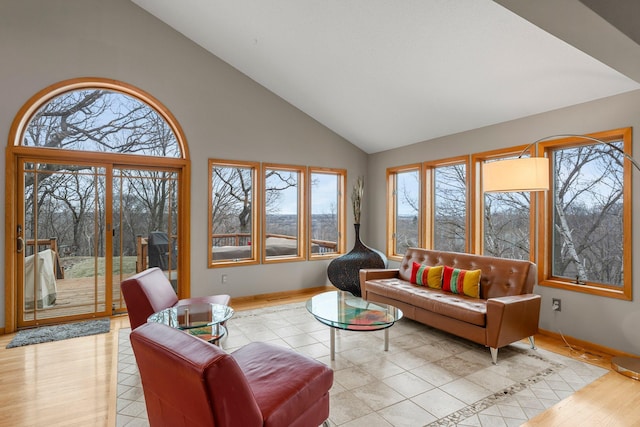 8440 Delaney Ct, Inver Grove Heights, MN 55076 - living area featuring high vaulted ceiling, baseboards, and light wood-type flooring