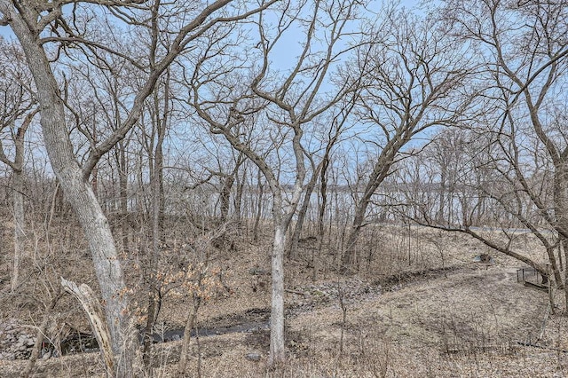925 Minnesota Ln N, Plymouth, MN 55447 - view of local wilderness