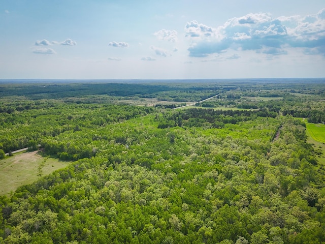 32838 County 16, Hart Lake Twp, MN 56461 - bird's eye view of a heavily wooded area