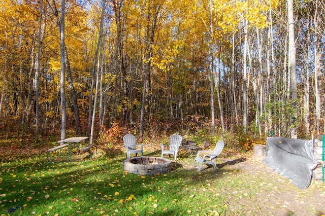 18885 Maryville Rd, Brainerd, MN 56401 - view of green lawn featuring a fire pit