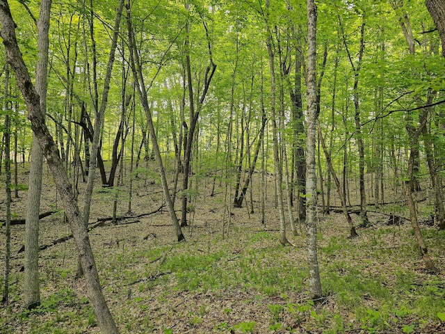 372XX 280th Ave Unit C, Dent, MN 56528