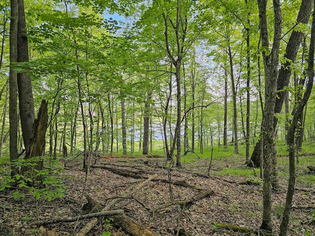 372XX 280th Ave Unit C, Dent, MN 56528