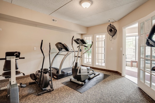 702 Old Settlers Trl Unit 3, Hopkins, MN 55343 - exercise area featuring carpet floors, healthy amount of natural light, and a textured ceiling