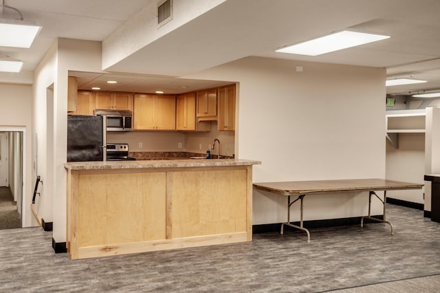 702 Old Settlers Trl Unit 3, Hopkins, MN 55343 - kitchen featuring stainless steel appliances, light brown cabinets, a peninsula, a skylight, and recessed lighting