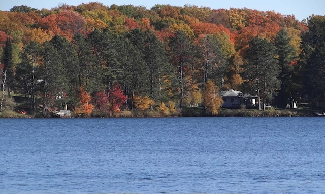 4463 Singkoffer Rd, Summit Twp, WI 54880 - water view featuring a heavily wooded area
