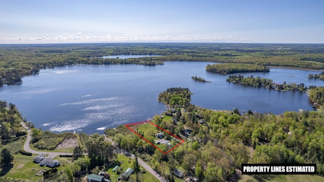 4463 Singkoffer Rd, Summit Twp, WI 54880 - view of property location featuring a heavily wooded area, property boundaries highlighted, and a large body of water