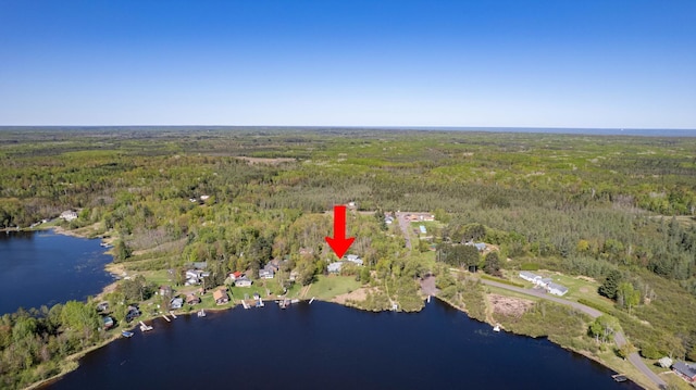 4463 Singkoffer Rd, Summit Twp, WI 54880 - view of property location featuring a heavily wooded area and a nearby body of water