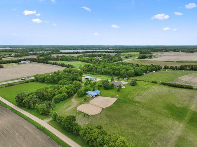 11166 State Highway 24 NW, Annandale, MN 55302 - photo 13