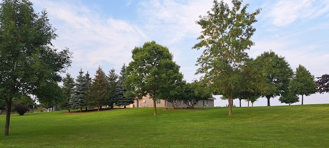 11166 State Highway 24 NW, Annandale, MN 55302 - photo 64