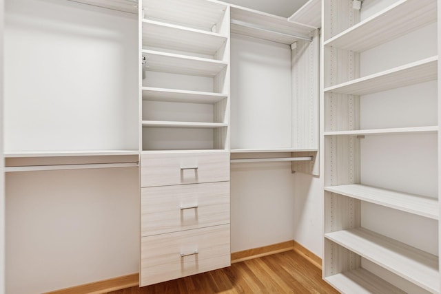 spacious closet featuring wood finished floors