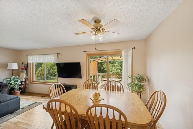 115 116th Ave NW, Coon Rapids, MN 55448 - photo 6