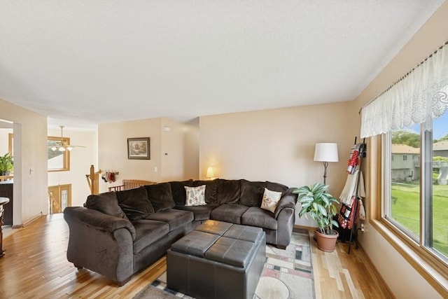 115 116th Ave NW, Coon Rapids, MN 55448 - photo 7
