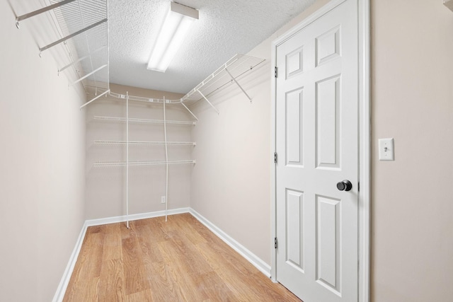 spacious closet featuring light wood-style flooring