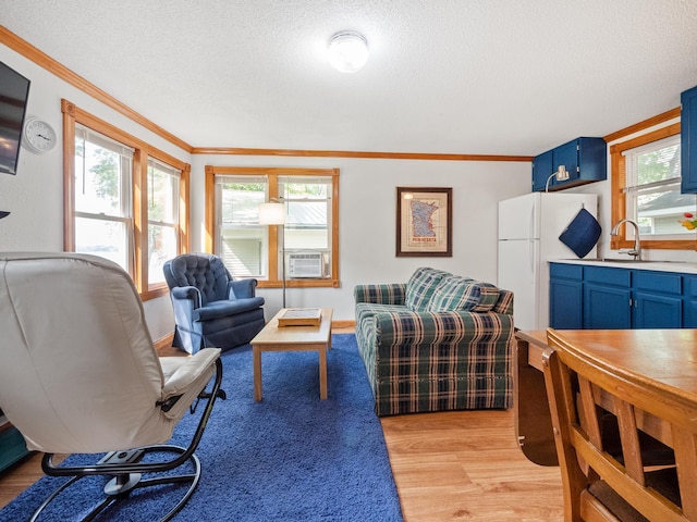 1321 Darling Dr NW, Alexandria, MN 56308 - living room with light wood finished floors, plenty of natural light, a textured ceiling, and ornamental molding