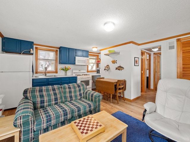 1321 Darling Dr NW, Alexandria, MN 56308 - living area with light wood finished floors, baseboards, visible vents, and a textured ceiling