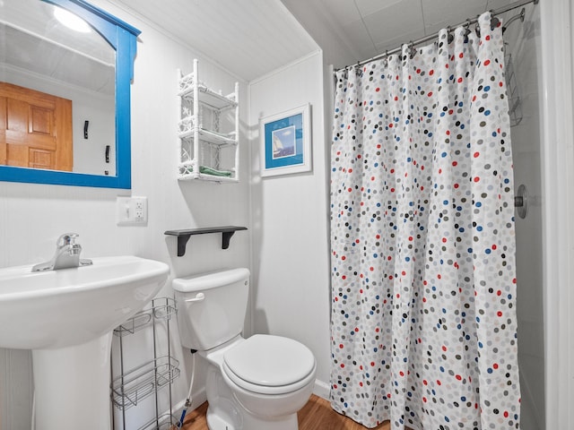 1321 Darling Dr NW, Alexandria, MN 56308 - bathroom featuring wood finished floors, a sink, a shower with shower curtain, and toilet