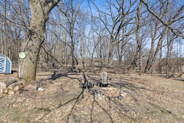 view of yard with an outdoor structure