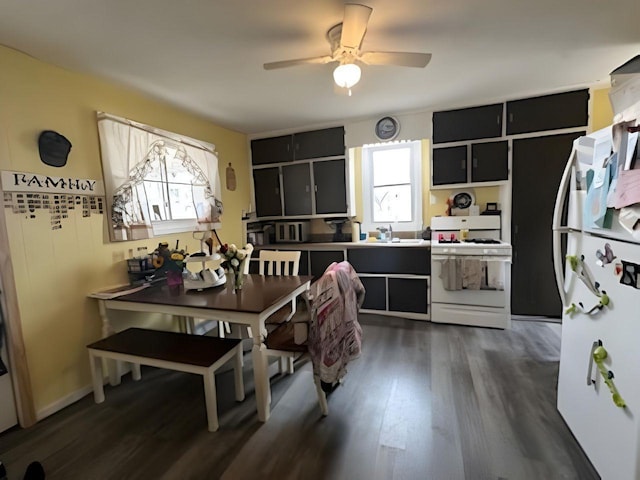 208 Dugan St S, Welcome, MN 56181 - kitchen with white appliances, a sink, dark wood-style floors, a ceiling fan, and dark cabinets