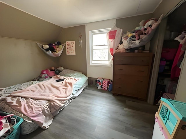 208 Dugan St S, Welcome, MN 56181 - bedroom with wood finished floors and vaulted ceiling