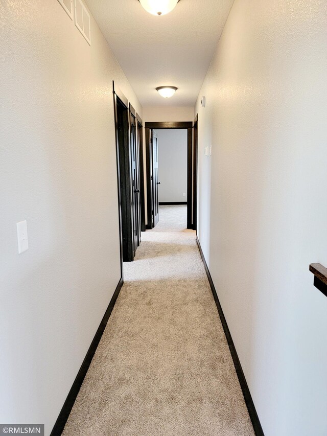 602 Warren St, Janesville, MN 56048 - hall featuring light colored carpet and baseboards