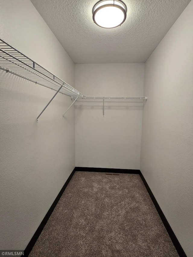 602 Warren St, Janesville, MN 56048 - spacious closet with carpet flooring