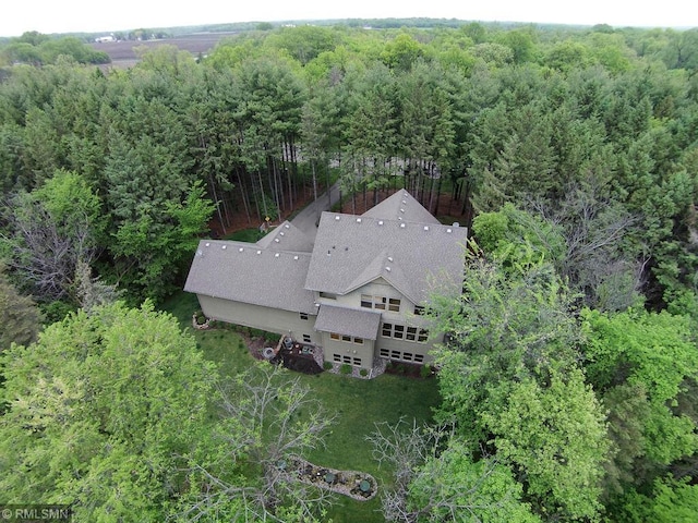 bird's eye view