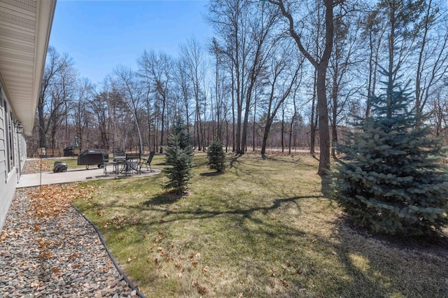 view of yard featuring a patio