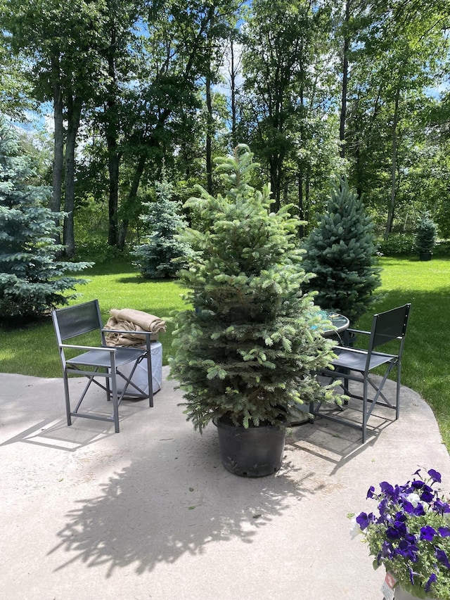 view of community featuring a yard and a patio