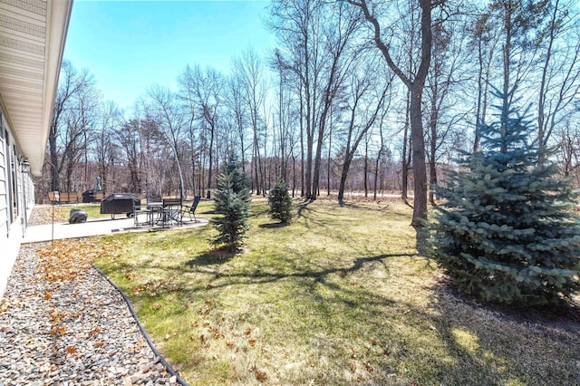 view of yard featuring a patio