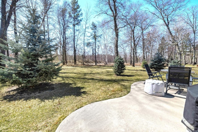 view of yard featuring a patio area