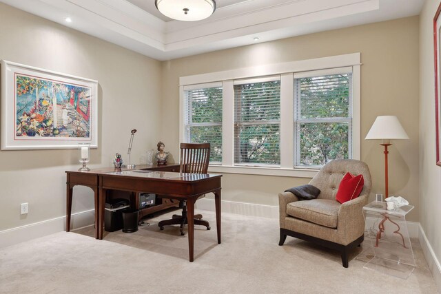 office with light colored carpet and baseboards