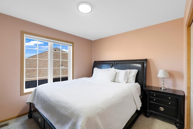 2923 124th Cir NE, Blaine, MN 55449 - bedroom with light carpet and baseboards