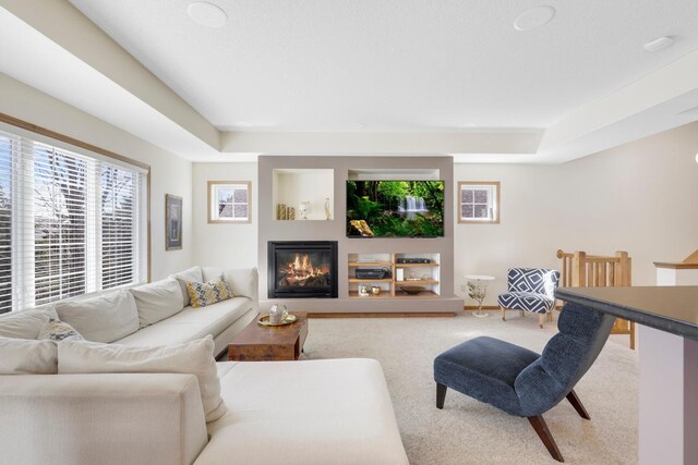 2923 124th Cir NE, Blaine, MN 55449 - carpeted living room with a raised ceiling and a glass covered fireplace