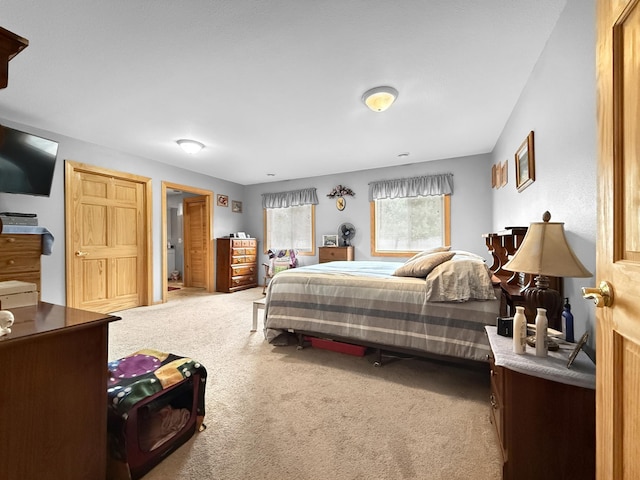4886 Feelinrite Ln NW, Eckles Twp, MN 56601 - view of carpeted bedroom