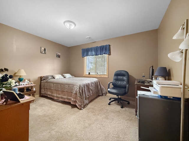 4886 Feelinrite Ln NW, Eckles Twp, MN 56601 - bedroom featuring light colored carpet, an office area, and baseboards