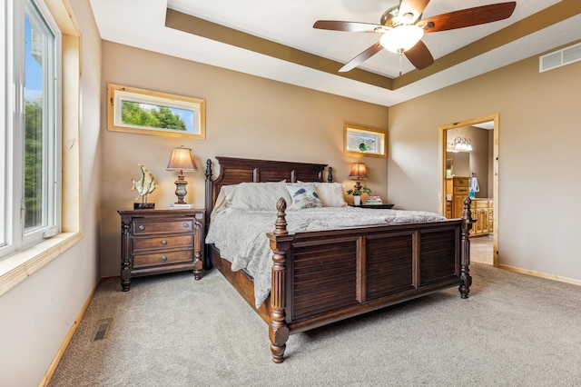 17623 Grist Ct SW, Prior Lake, MN 55372 - bedroom with light carpet, multiple windows, a raised ceiling, and baseboards