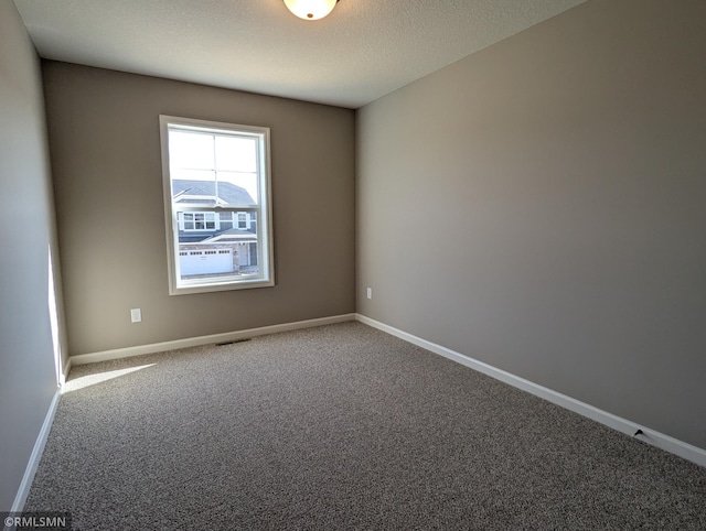 6752 104th St, Cottage Grove, MN 55016 - spare room featuring carpet flooring, baseboards, and a textured ceiling