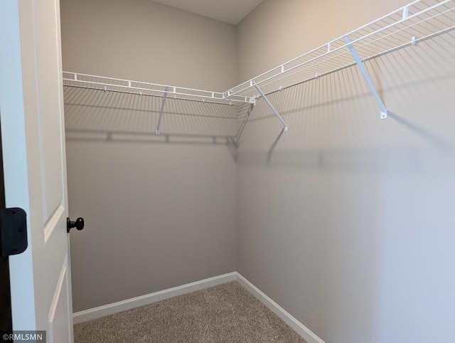 6752 104th St, Cottage Grove, MN 55016 - spacious closet featuring carpet flooring